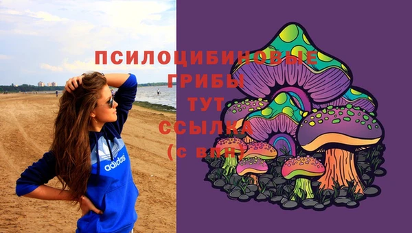 сатива Алзамай